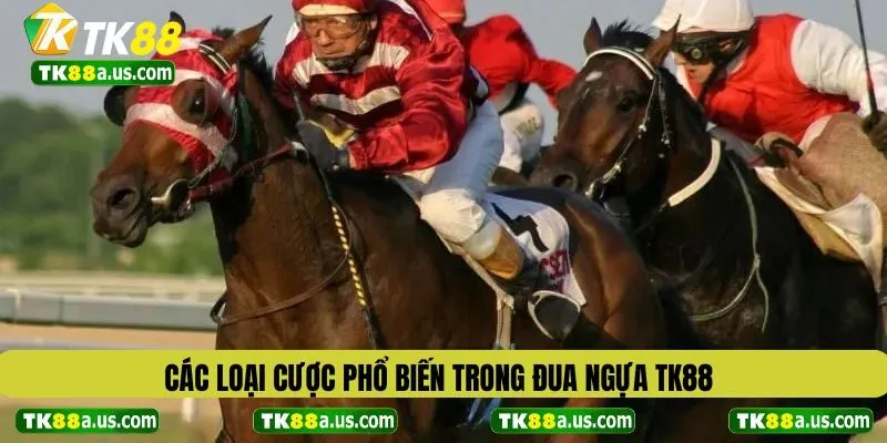 Các loại cược phổ biến trong đua ngựa TK88