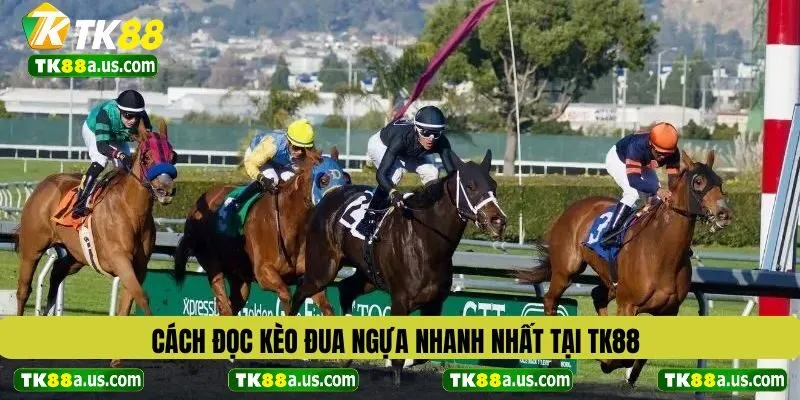 Cách đọc kèo đua ngựa nhanh nhất tại TK88