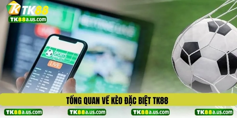 Tổng quan về kèo đặc biệt TK88